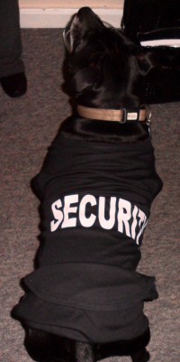 Bud Security (1)